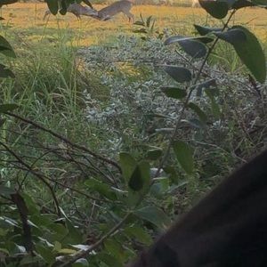 Meet your Posher, Sergio